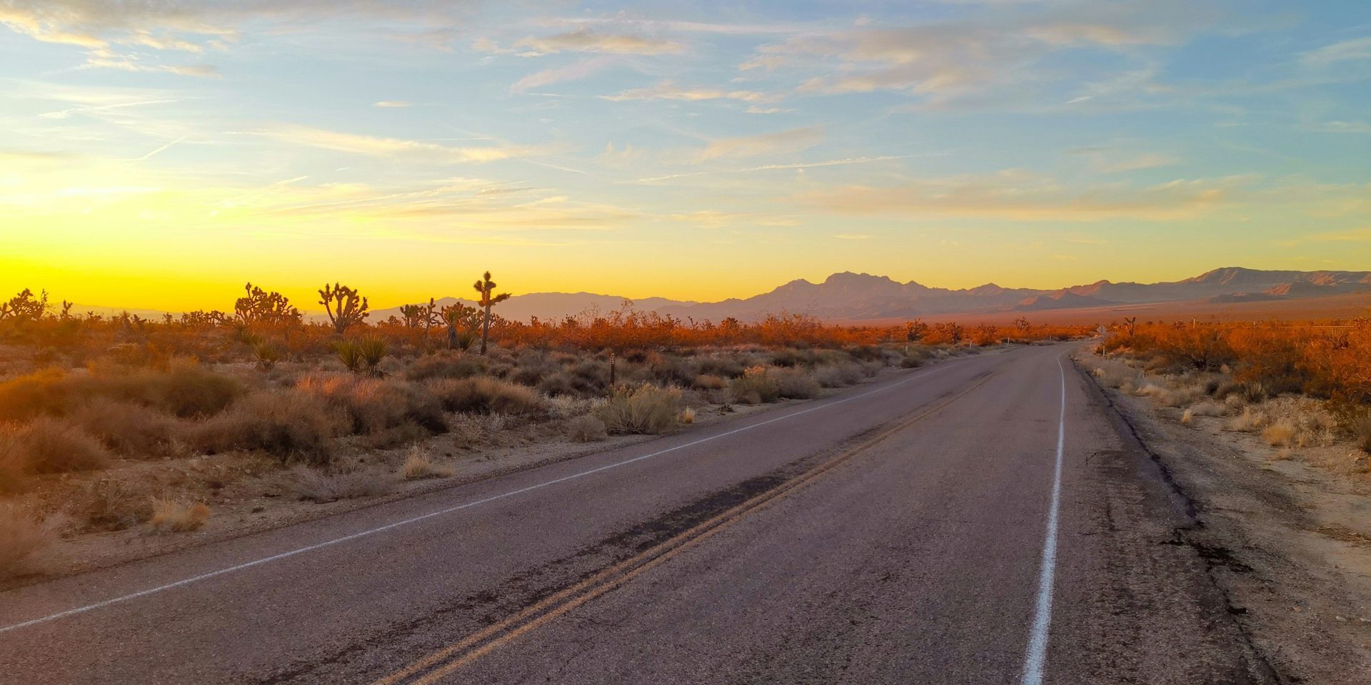 gray asphalt road between brown grass field during sunset
